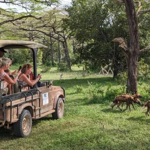 Explore From Zanzibar to Selous G.R : 4 Days Safari Trip Wonders: 2 Full Day Game Drive & 3 excursions for 4 days with Beach and Safari Holidays and discover unforgettable experiences - Photo 11