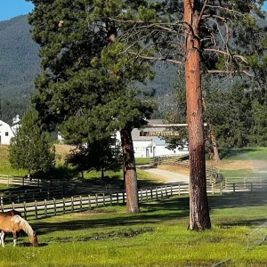 Explore Montana's Bitterroot for 6 days with Bicycle Adventures and discover unforgettable experiences - Photo 8