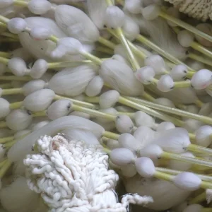 Explore Authentic Uzbekistan: Crafts&Caravan Cities for 9 days with Central Asia Travel LP  and discover unforgettable experiences - Photo 10