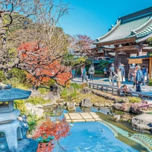 Explore Highlights of Japan (land program only) for 9 days with DERTOUR and discover unforgettable experiences - Photo 11