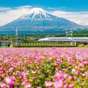 Explore Land of the Rising Sun (incl. flight) for 18 days with DERTOUR and discover unforgettable experiences - Photo 9