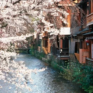 Explore Land of the Rising Sun (incl. flight) for 18 days with DERTOUR and discover unforgettable experiences - Photo 11