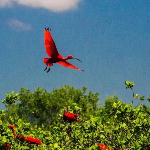 Explore Route of the Emotions (from Fortaleza to São Luis) for 7 days with ETours Brazil DMC and discover unforgettable experiences - Photo 4