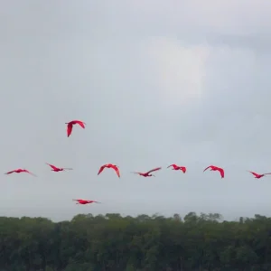 Explore Route of the Emotions (from Fortaleza to São Luis) for 7 days with ETours Brazil DMC and discover unforgettable experiences - Photo 9