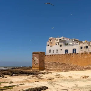 Explore Desert Majesty Luxury Tour - 9 Days for 9 days with Explore Adventures Morocco and discover unforgettable experiences - Photo 3