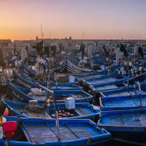 Explore Desert Majesty Luxury Tour - 9 Days for 9 days with Explore Adventures Morocco and discover unforgettable experiences - Photo 5