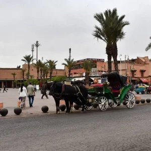 Explore Desert Majesty Luxury Tour - 9 Days for 9 days with Explore Adventures Morocco and discover unforgettable experiences - Photo 8