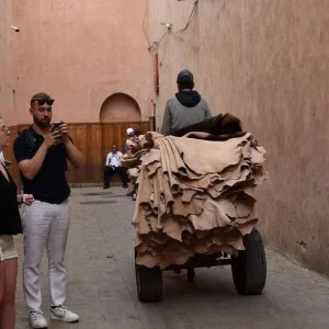 Explore Desert Majesty Luxury Tour - 9 Days for 9 days with Explore Adventures Morocco and discover unforgettable experiences - Photo 9