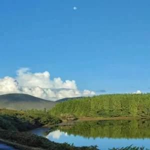 Explore Wild Atlantic Expedition - Flores & Corvo for 7 days with Futurismo Azores Adventures and discover unforgettable experiences - Photo 10