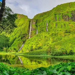 Explore Wild Atlantic Expedition - Flores & Corvo for 7 days with Futurismo Azores Adventures and discover unforgettable experiences - Photo 11