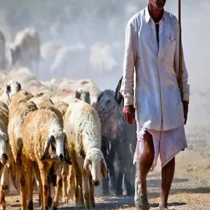 Explore Heritage Rajasthan with Magical Kerala - North & South India for 16 days with GeTS Holidays and discover unforgettable experiences - Photo 7