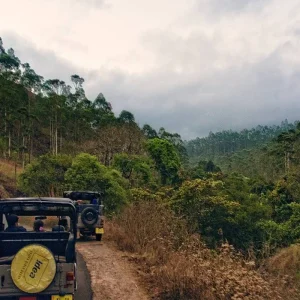 Explore Heritage Rajasthan with Magical Kerala - North & South India for 16 days with GeTS Holidays and discover unforgettable experiences - Photo 8