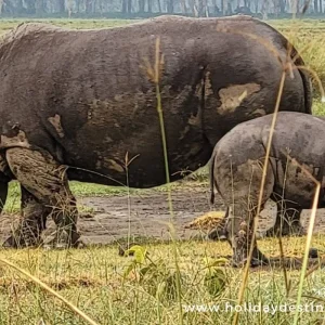 Explore Your African Safari for 12 days with Holiday Destination Safaris and discover unforgettable experiences - Photo 9