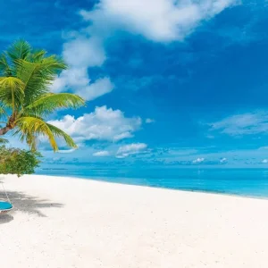 Explore Bahamas Intensive for 8 days with MEIERS WELTREISEN and discover unforgettable experiences - Photo 3