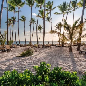 Explore Bahamas Intensive for 8 days with MEIERS WELTREISEN and discover unforgettable experiences - Photo 5