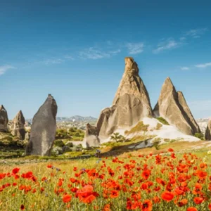 Explore Istanbul & Cappadocia 5 star - 5 days for 5 days with On The Go Tours and discover unforgettable experiences - Photo 3