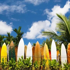 Explore Best of Hawaii (Moderate Cruise) for 10 days with Trafalgar and discover unforgettable experiences - Photo 2