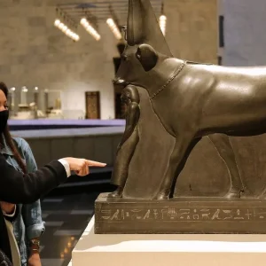 Explore Egypt’s Wonders in 7 Days Nile Cruise, Pyramids & Grand Egyptian Museum for 7 days with  Black Camel Tours e. U. and discover unforgettable experiences - Photo 4