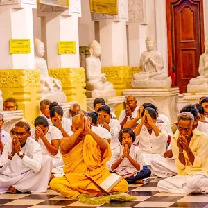 Explore Tailor-Made 8 Days Sri Lanka Train Tour with 4-stars Hotels, Daily Depart & Private Guide for 8 days with Agate Travel and discover unforgettable experiences - Photo 2