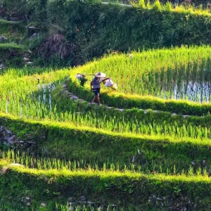 Explore Customized 6 Days Vietnam Halong Bay Cruise & Sapa Hiking, Private Guide for 6 days with Agate Travel and discover unforgettable experiences - Photo 9