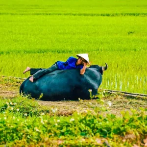 Explore Tailor-Made Vietnam Private Trip to Mekong Delta, Daily Depart for 10 days with Agate Travel and discover unforgettable experiences - Photo 11