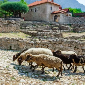 Explore Albania & Kosovo in 5 Days for 5 days with Albania Inbound and discover unforgettable experiences - Photo 10