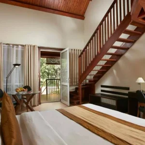 Explore Sri Lanka & Maldives (incl. flight) small group tour for 15 days with Bavaria Fernreisen and discover unforgettable experiences - Photo 4