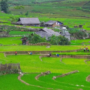 Explore North Vietnam At A Glance: Halong Bay & Sapa 5 days for 5 days with BestPrice Travel and discover unforgettable experiences - Photo 6