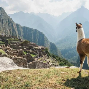 Explore Peru Explorer for 7 days with Costsaver and discover unforgettable experiences - Photo 2