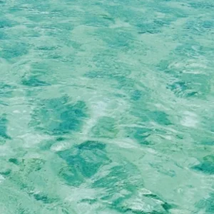 Explore Get to know Tahiti & its islands for 8 days with DERTOUR and discover unforgettable experiences - Photo 3