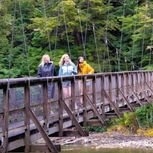 Explore NZ Intro 17 Day for 17 days with INTRO Travel and discover unforgettable experiences - Photo 2