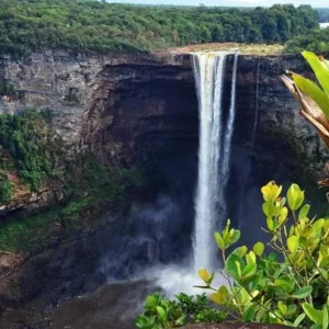 Explore South America's Forgotten Corner - Guyana, Suriname, French Guiana for 9 days with Penguin Travel and discover unforgettable experiences - Photo 3