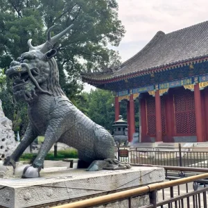 Explore Experience China: From the Greatness of Beijing to the Glamour of Shanghai! for 8 days with Across Europe Ltd. and discover unforgettable experiences - Photo 4