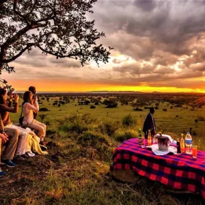 Explore 4-Day Mid-Range Luxury Tented Lodge and 1 Night Camping Safari for 4 days with Adventure Makers Tanzania and discover unforgettable experiences - Photo 3