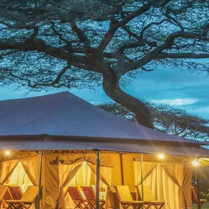 Explore 4-Day Mid-Range Luxury Tented Lodge and 1 Night Camping Safari for 4 days with Adventure Makers Tanzania and discover unforgettable experiences - Photo 6