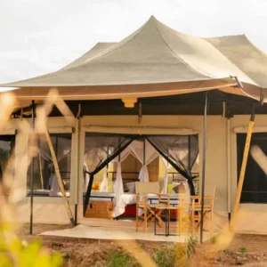 Explore Discover Our Top Of All Top Best 3 Days Flight from Zanzibar to Northern Serengeti (Kogatende Airstrip) for 3 days with Africa Natural Tours and discover unforgettable experiences - Photo 4