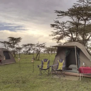 Explore 4-Day Mid-Range Luxury Tented Lodge and 1 Night Camping Safari for 4 days with Adventure Makers Tanzania and discover unforgettable experiences - Photo 8