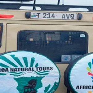 Explore Discover The Best Of The Best  5-Day Tanzania  Budget Safari 2025-2026 From Arusha for 5 days with Africa Natural Tours and discover unforgettable experiences - Photo 9