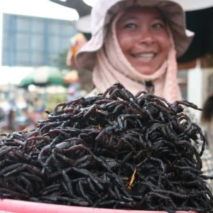 Explore Discover Cambodia on Wheels 1 week for 7 days with BestPrice Travel and discover unforgettable experiences - Photo 2