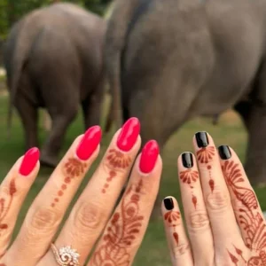 Explore Incredible Golden Triangle Tour 3 Night 4 Days for 4 days with Fragrance of Taj and discover unforgettable experiences - Photo 8