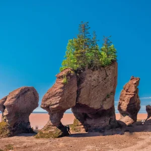 Explore Atlantic Canada Group Tour for 13 days with MEIERS WELTREISEN and discover unforgettable experiences - Photo 2