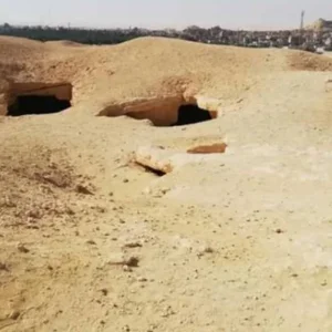 Explore 3 Days 2 Nights Tour Package to Siwa Oasis From Cairo for 3 days with  Black Camel Tours e. U. and discover unforgettable experiences - Photo 6