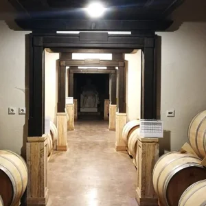 Explore Serbian Wine Experience for 3 days with Balkan roads and discover unforgettable experiences - Photo 2