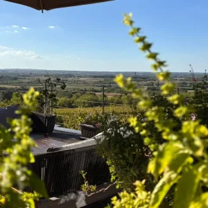 Explore Serbian Wine Experience for 3 days with Balkan roads and discover unforgettable experiences - Photo 9