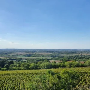 Explore Serbian Wine Experience for 3 days with Balkan roads and discover unforgettable experiences - Photo 10