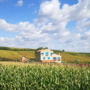 Explore Serbian Wine Experience for 3 days with Balkan roads and discover unforgettable experiences - Photo 11