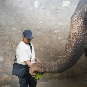 Explore Vloggers Tour for 5 days with BeMetravels  and discover unforgettable experiences - Photo 2