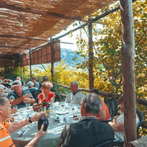 Explore Southern Lights: Rome, Sorrento, Capri & Puglia for 12 days with Carrani Tours and discover unforgettable experiences - Photo 5