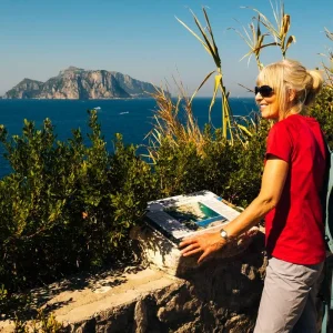 Explore Southern Lights: Rome, Sorrento, Capri & Puglia for 12 days with Carrani Tours and discover unforgettable experiences - Photo 8