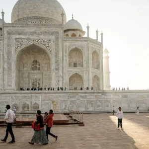 Explore India's Golden Triangle: A 7-Day Adventure from Delhi Airport to Agra, Ranthambore, and Jaipur for 7 days with Coxan Tours and discover unforgettable experiences - Photo 4
